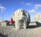 Buldre-steiner til lekeplass thumbnail