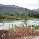 Bilde: Dønnfoss Camping thumbnail